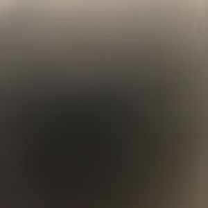 Meet your Posher, Allie